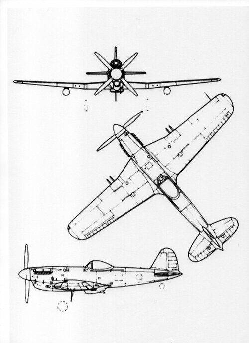731.jpg