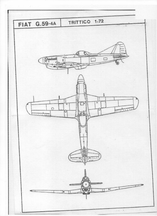 736.jpg