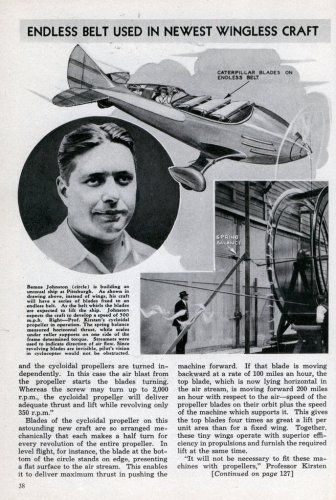 xlg_wingless_2.jpg