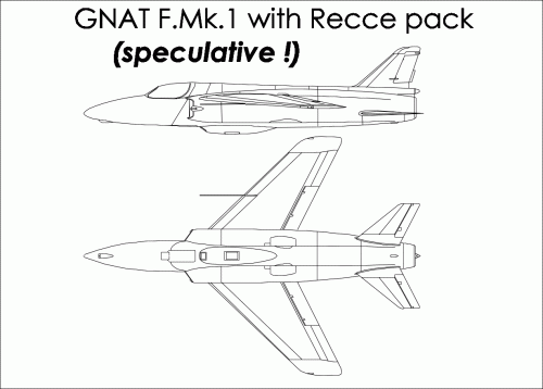 Gnat_recce-pack.GIF