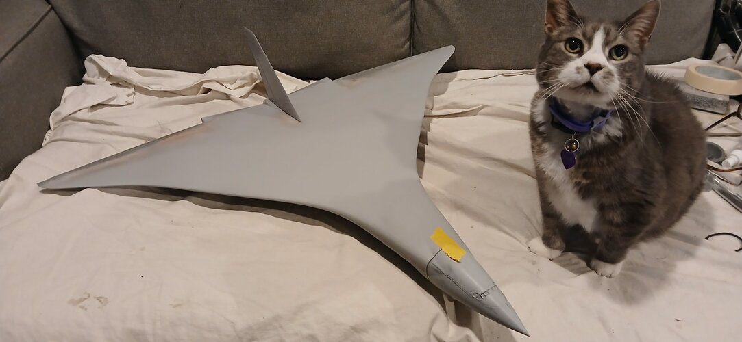 20250216_000325.jpg