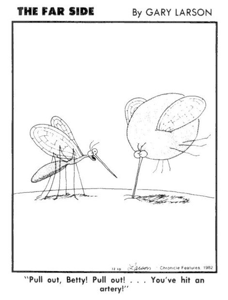 Larson Mosquito.jpg