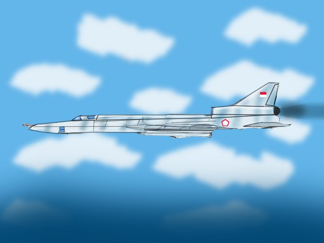 tu-22indonezijaab copy.png