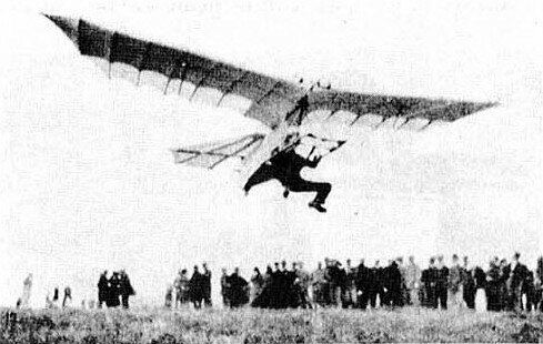 HM.5.jpg