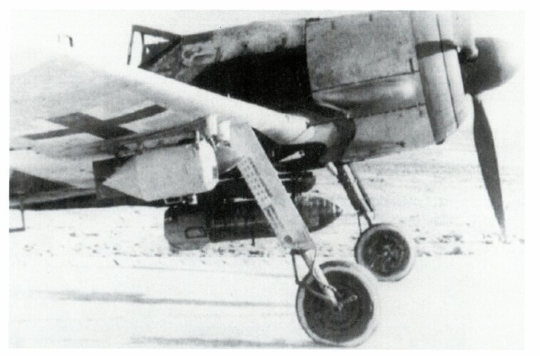 255.jpg