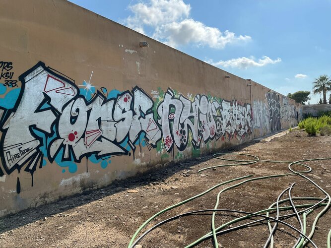 NOTA-29-07-21-grafitis-cementerio-FOTO.jpg