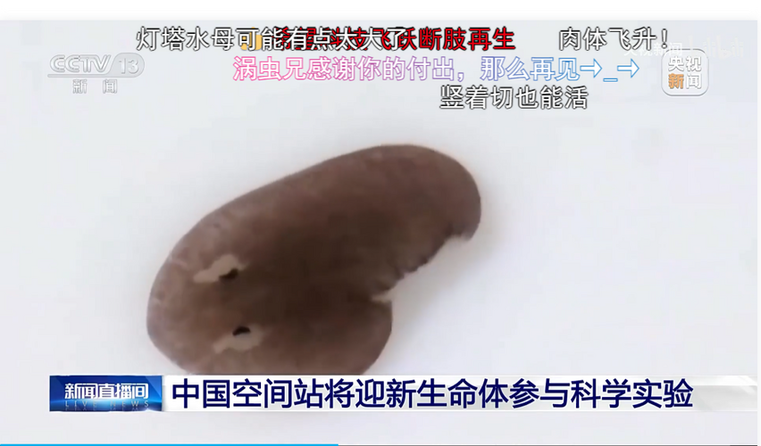 1742664504848.png