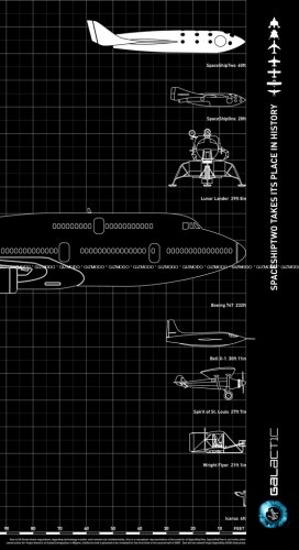 Comparison_DNA of FLIGHT.jpg