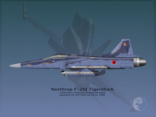 F20A_Japan00.jpg