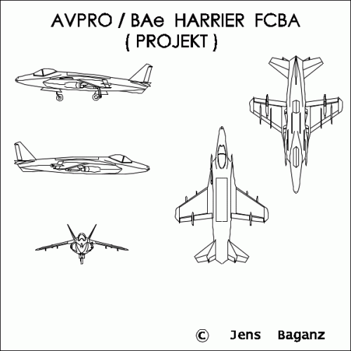 Harrier_FCBA.GIF