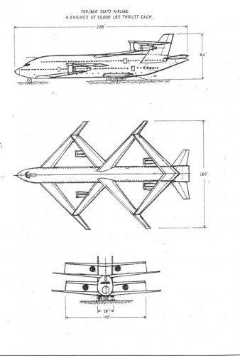 Pallarini_1.jpg