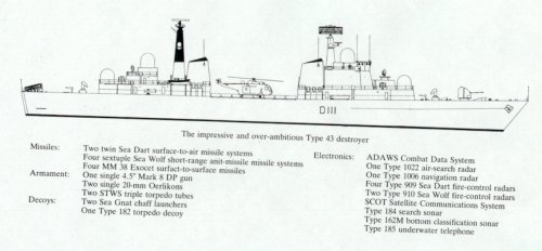 T43.JPG