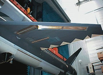 003C22wing.jpg