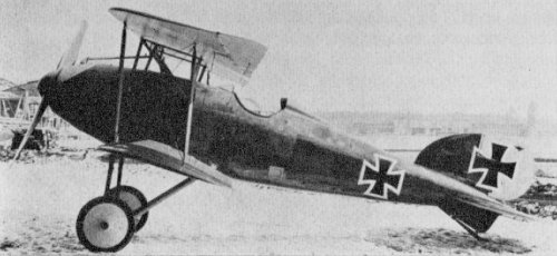 Albatros L-22 (D-IV).jpg