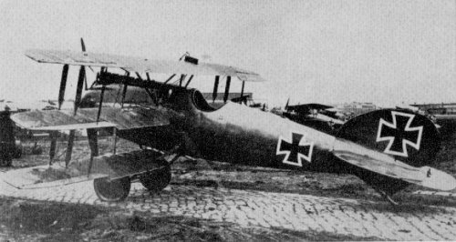 Albatros L-36 (Dr-I).jpg