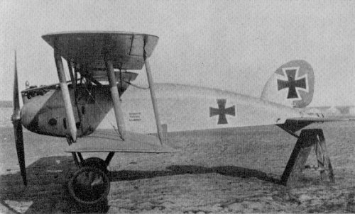 Albatros L-37 (D-IX).jpg