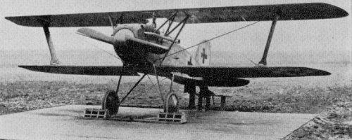 Albatros L-38 (D-X).jpg