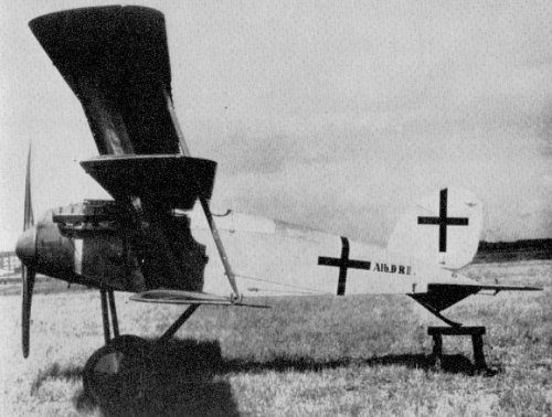 Albatros L-39 (Dr-II).jpg