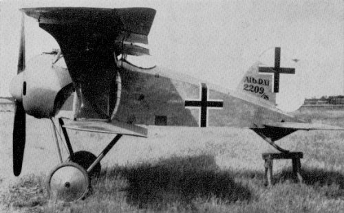 Albatros L-41 (D-XI).jpg