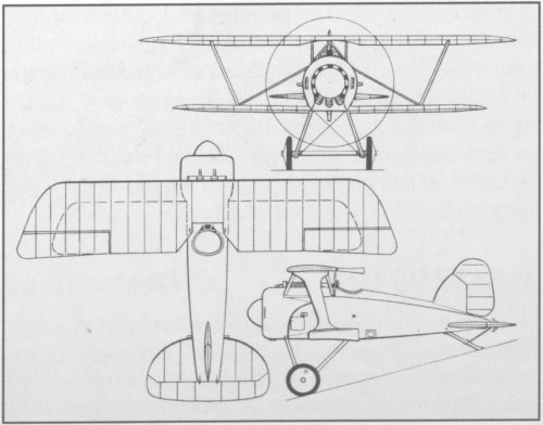 Albatros L-41 (D-XI)-.jpg