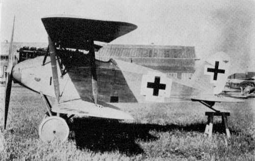 Albatros L-43 (D-XII).jpg