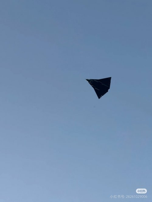 1742904636245.jpeg