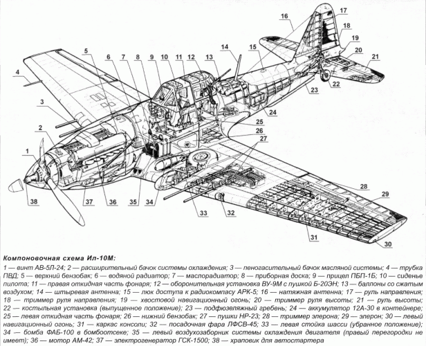 il10m-2.gif