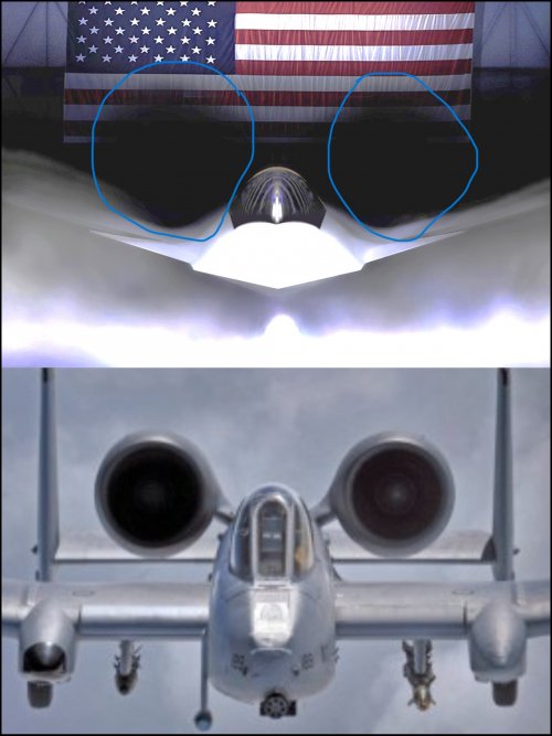 PhotoCollage_1743452573808.jpg