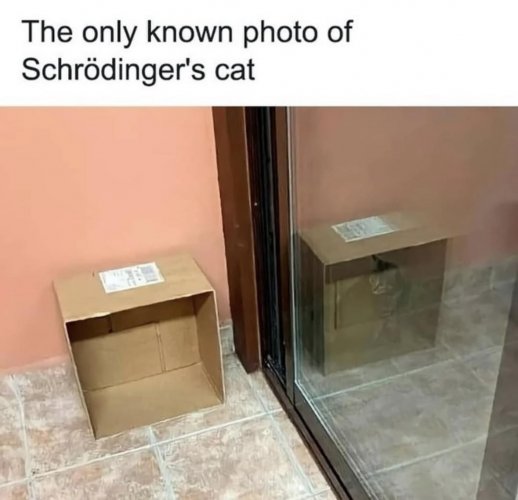 487324248_1200626491696408_1698871286794431716_n.jpg
