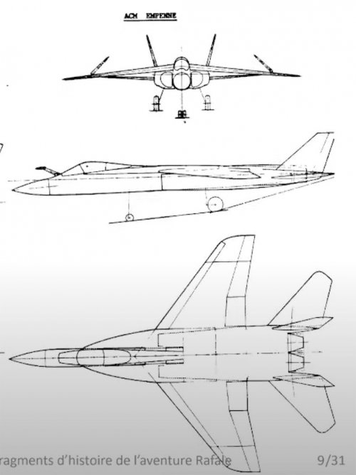 ACM-%22hornet%22.jpg