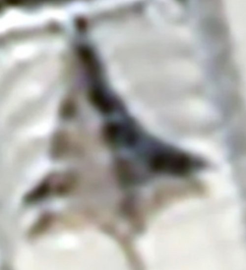 1000018674.jpg