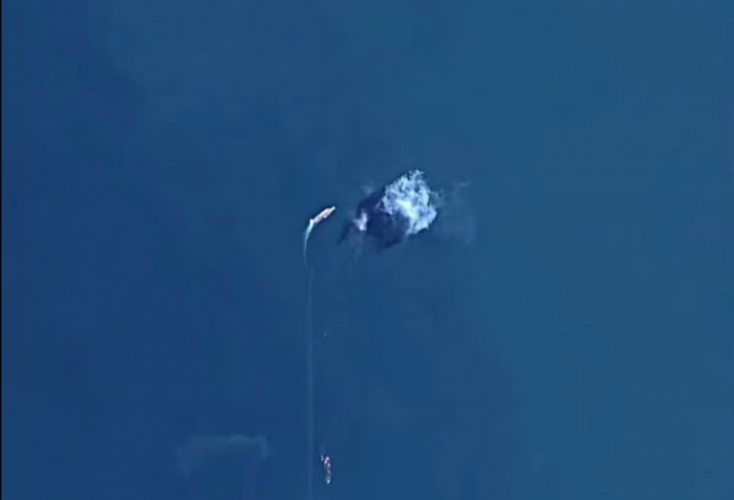 1744578266418.png