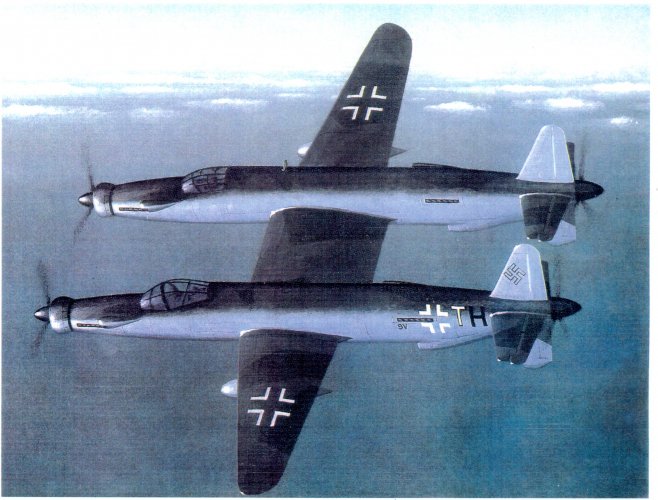 659.jpg