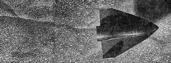 image_006.jpg