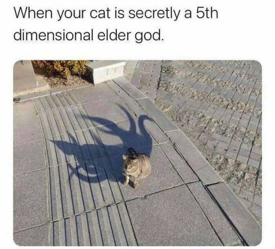 493715563_1148585447298868_494089530594008446_n.jpg