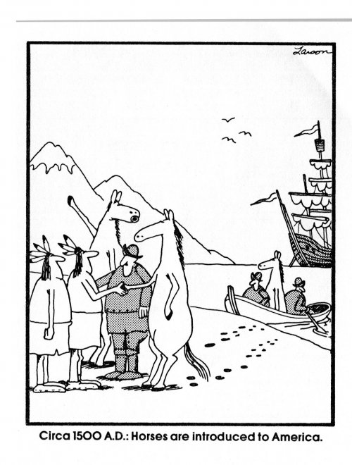 793.jpg