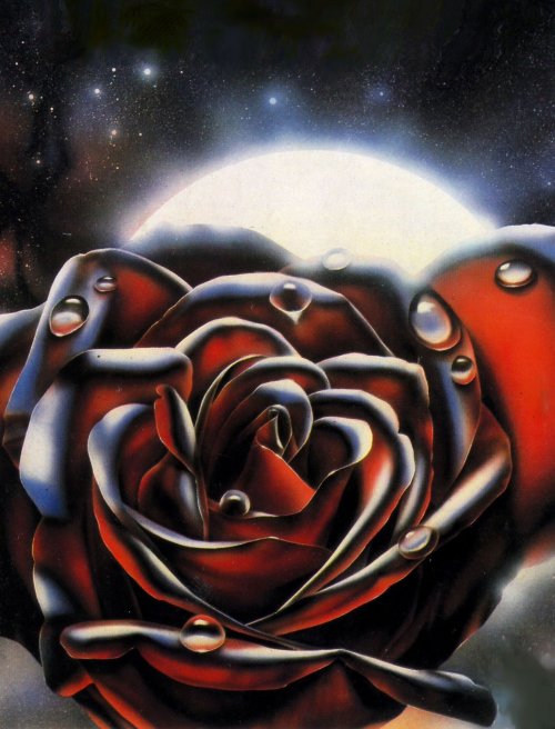 Solaris_The_Chain_of_Chance_A_Perfect_Vacuum_English_Penguin_1982 (1) copy 2.jpg