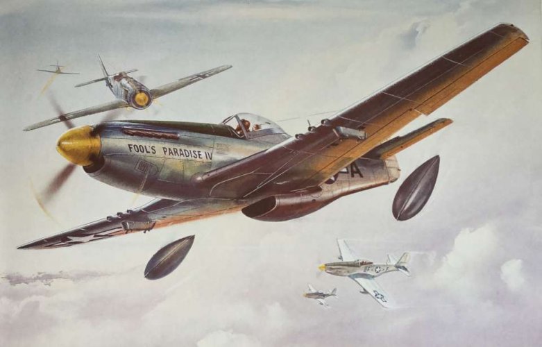 NAA P-51D By Roy Cross-960.jpg