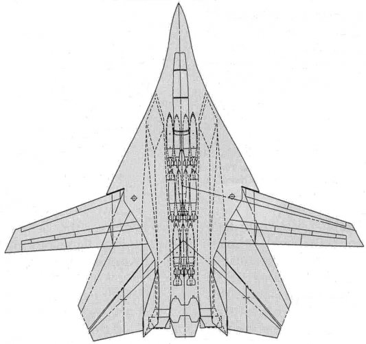 Tomcat II-1.jpg