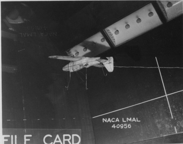 Model 43.jpg