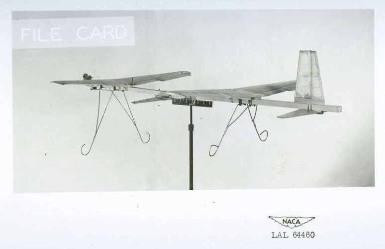 Model 101.jpg