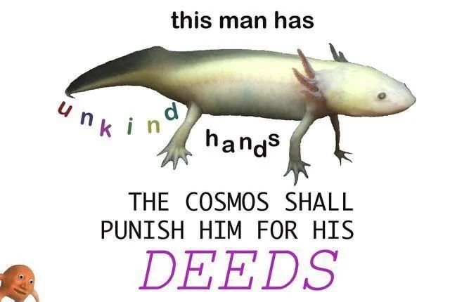 1000051264.jpg
