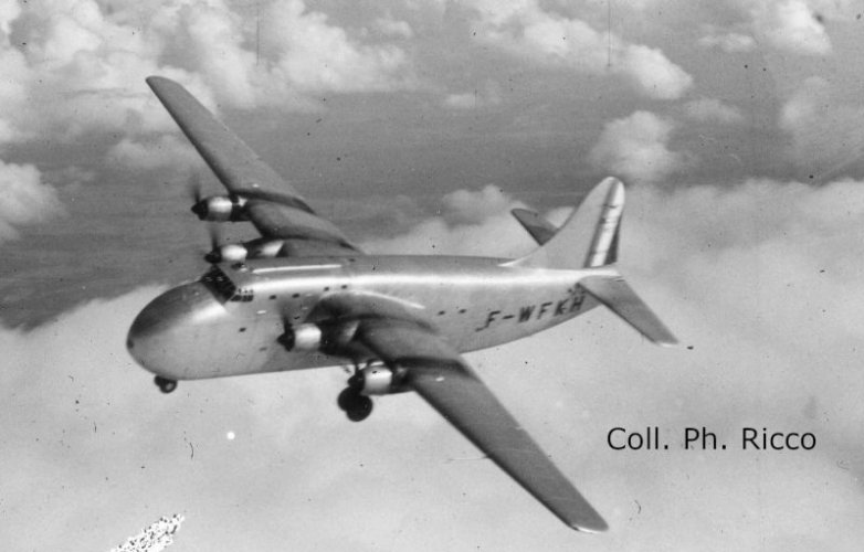 NC-211 Cormoran en vol (PhR2).jpg