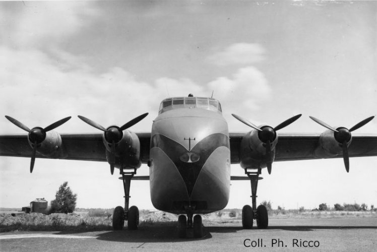 NC-211 no 01 Cormoran de face (PhR).jpg