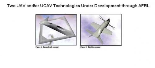 UAV or UCAV.JPG