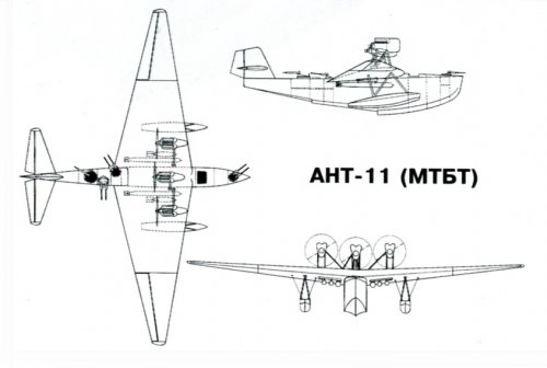 ANT-11.jpg
