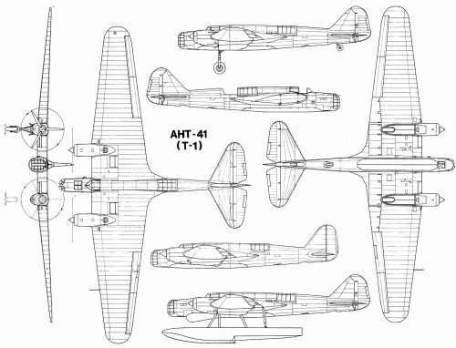 ant41-1.gif