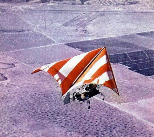 flex_wing-01.jpg