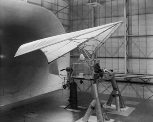 Flex-Wing in 40' wind tunnel.jpg