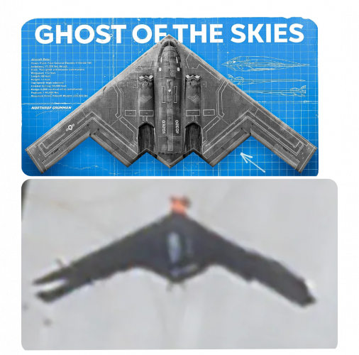 1000013093.png